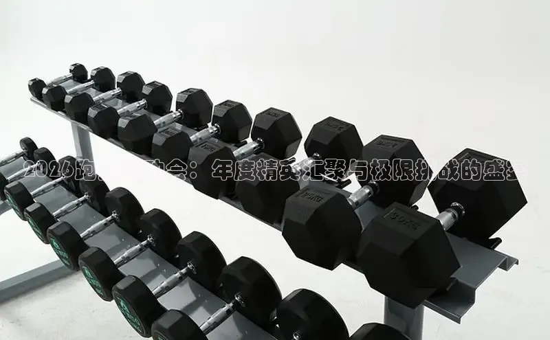 中欧体育集团